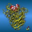 Ribbon Models of Proteins